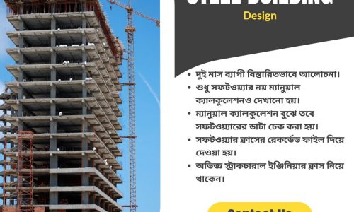 Professional Steel Building Design (Intermediate) (Online Live)